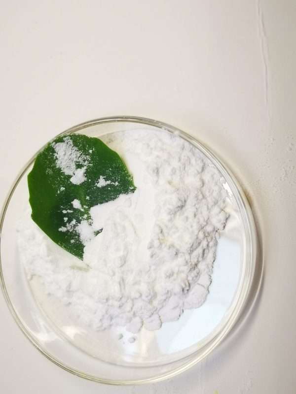Salicylic acid CAS 69-72-7